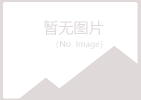 爱民区紫山制造有限公司